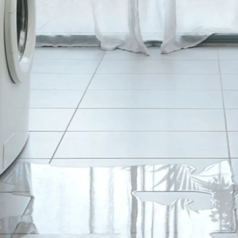 Appliance Leak Cleanup in Mount Morris, IL