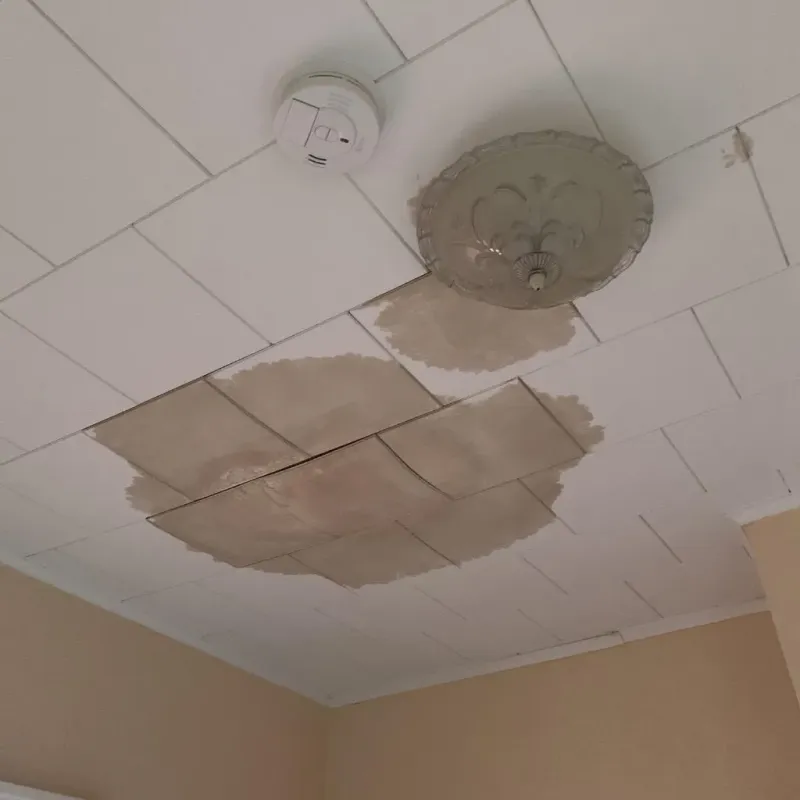Ceiling Water Damage Repair in Mount Morris, IL