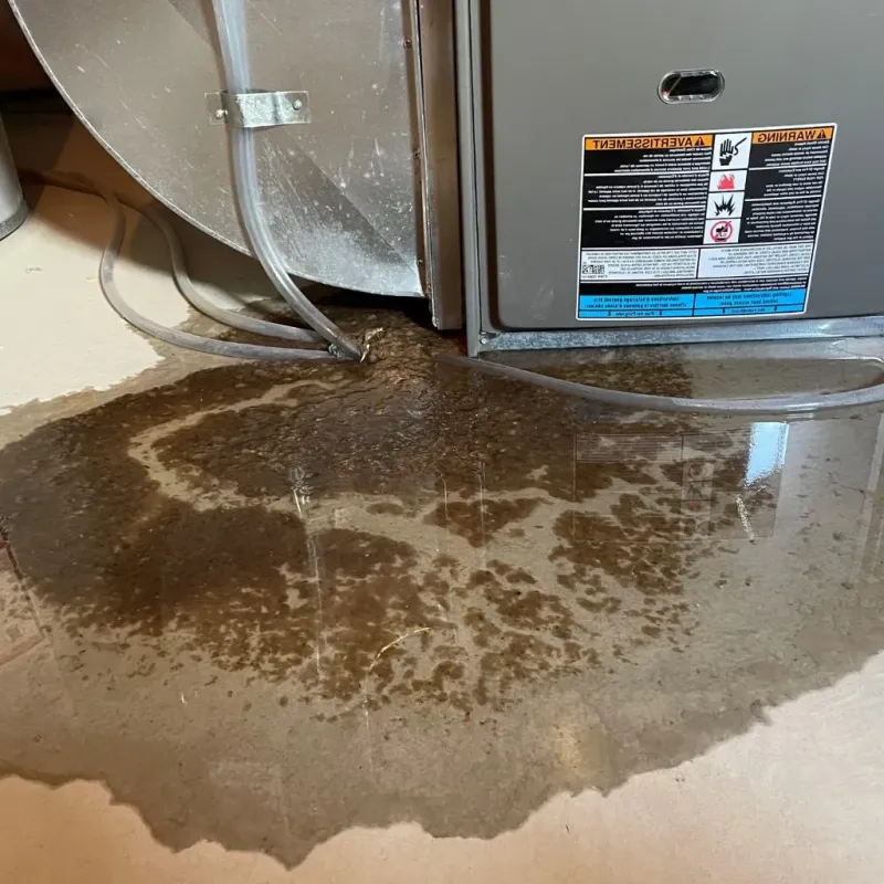 Pipe Burst and Leak Restoration in Mount Morris, IL