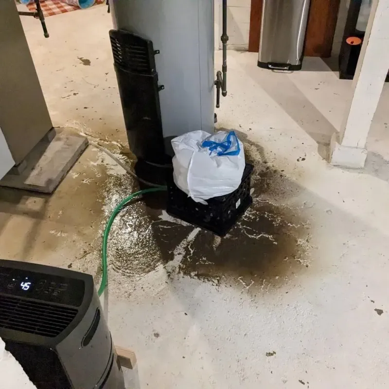 Sewage Backup Cleanup Service in Mount Morris, IL